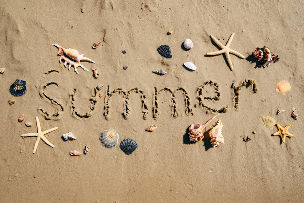 summer text on sand beach shells and starfish around. overhead - Foto, Imagen