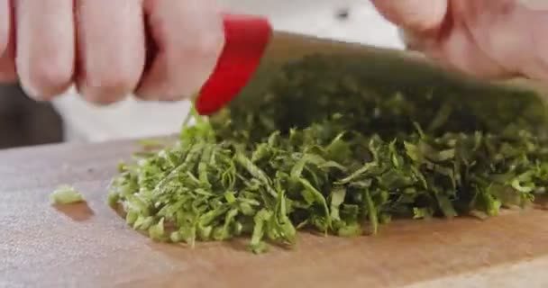 Lento movimento del coltello dello chef affettare foglie di sedano
 - Filmati, video