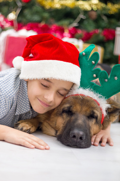 boy and dog in Christmas night - Photo, Image