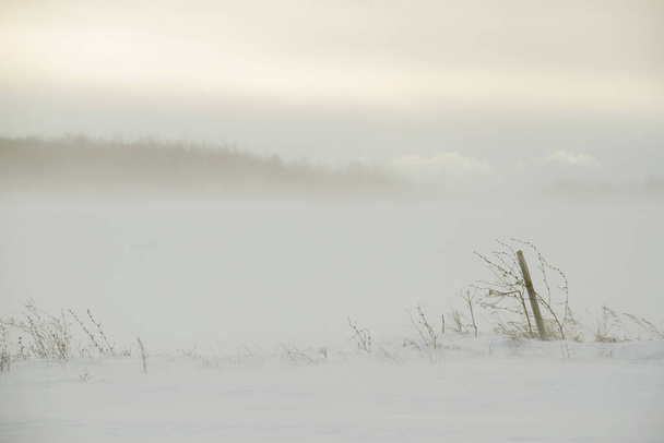 Paysage d 'hivers sous la raffale - Fotografie, Obrázek