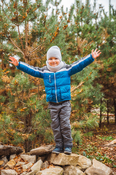 malý chlapec v podzimním oblečení v lese na pařezu podzimní sezóny - Fotografie, Obrázek