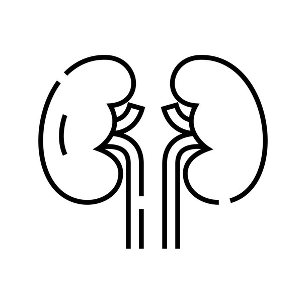 Niere innere Organe Liniensymbol, Konzeptzeichen, Umrissvektorillustration, lineares Symbol. - Vektor, Bild