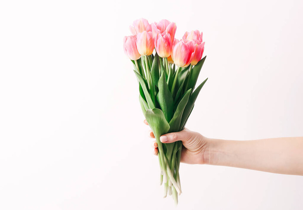 Woman hand with manicure holding tulips flowers on white wall background - Foto, afbeelding