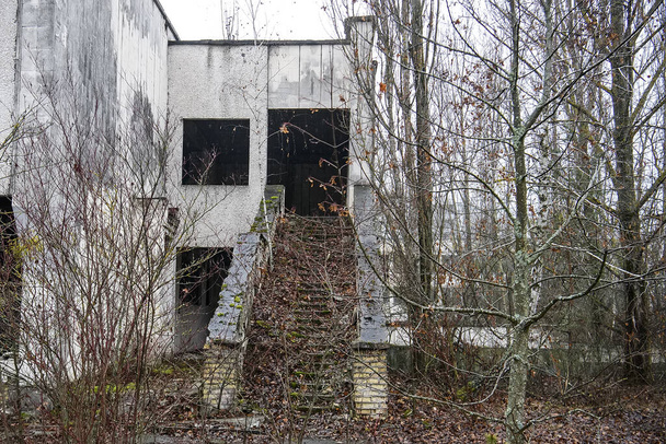 Εγκαταλελειμμένη πόλη φάντασμα Prypiat. Παρόχθια δέντρα και καταρρέοντα κτίρια στη ζώνη αποκλεισμού των χορωδιών.  - Φωτογραφία, εικόνα