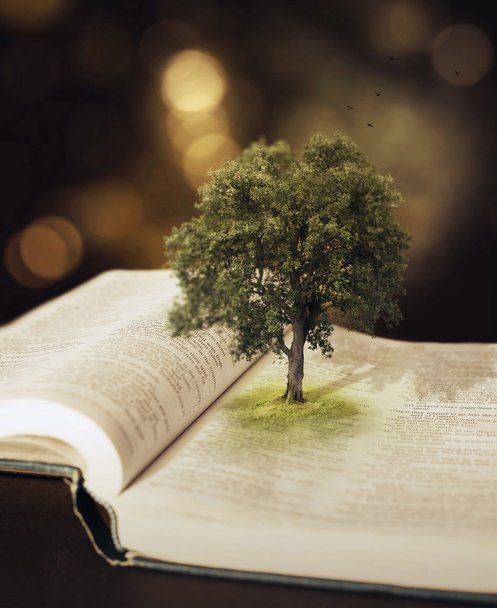 fa a Bibliában. - Fotó, kép