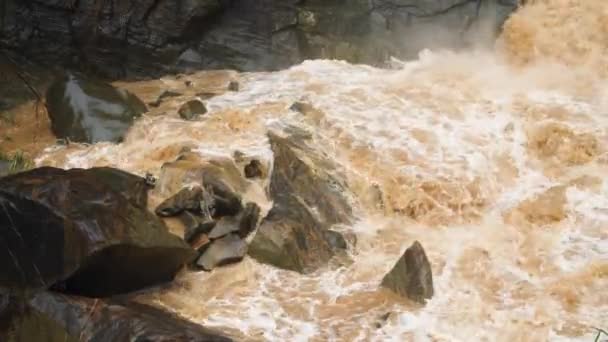 4k Video von Schlamm- und Schmutzwasserströmen, die in den Bergen fließen, während es regnet - Filmmaterial, Video