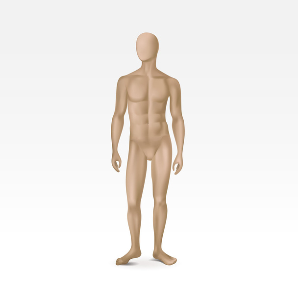 Vector Isolated Male Mannequin - Vector, Image