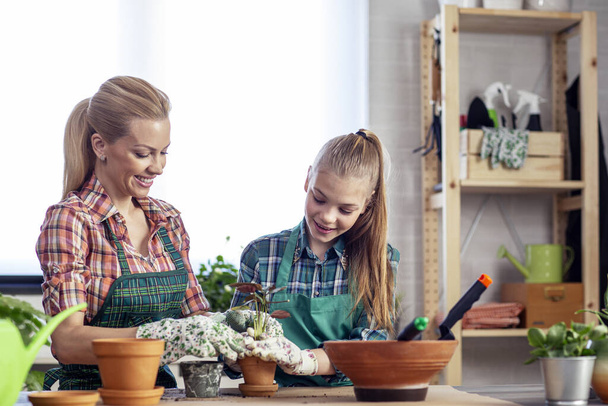 Mãe e filha plantam flores na mesa em casa juntos e se sentem felizes - Foto, Imagem