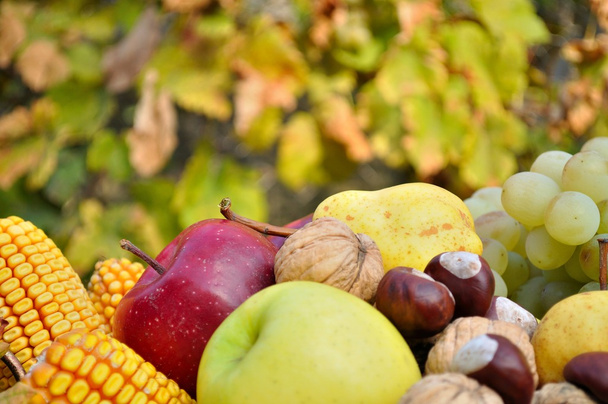Yksityiskohta tuoreita värikkäitä syksyn hedelmiä ja vihanneksia
 - Valokuva, kuva