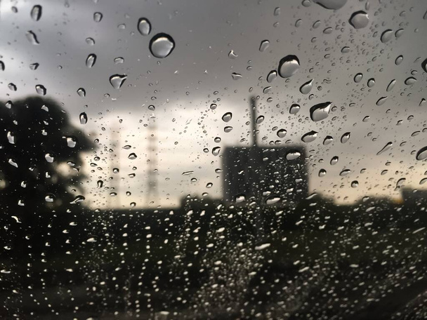Gouttes de pluie sur le verre, fond flou
  - Photo, image