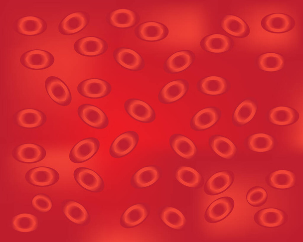Fond des cellules sanguines
 - Vecteur, image