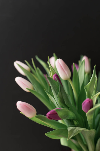 bouquet of pink and purple tulips on a black background, spring flowers for women, - 写真・画像
