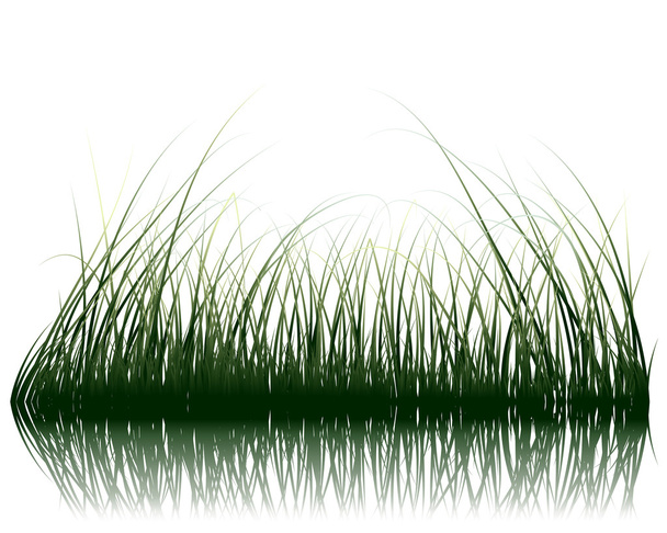 gras op water - Vector, afbeelding