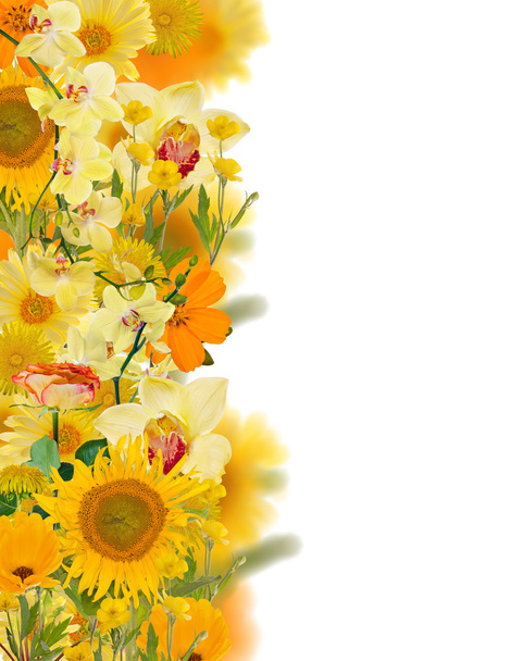 gele bloemen strip geïsoleerd op wit - Foto, afbeelding