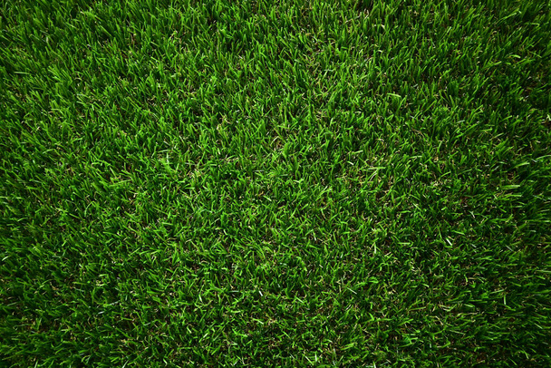 green grass turf floor artificial background - Photo, Image