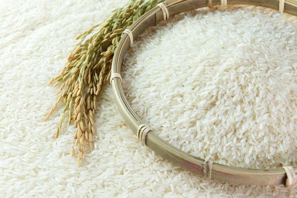 Grains de riz
 - Photo, image