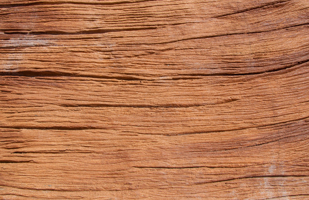 Falsa de madeira rachada Stump
 - Foto, Imagem