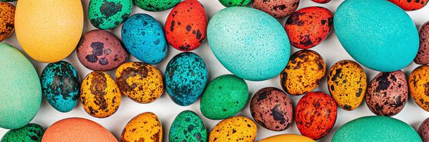 Stylish background with colorful quail, easter eggs with copy space for text isolated on white background. Flat lay, top view, mockup, overhead, template. - Zdjęcie, obraz