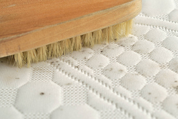 Cleaning mould stains from the mattress.  - Photo, Image