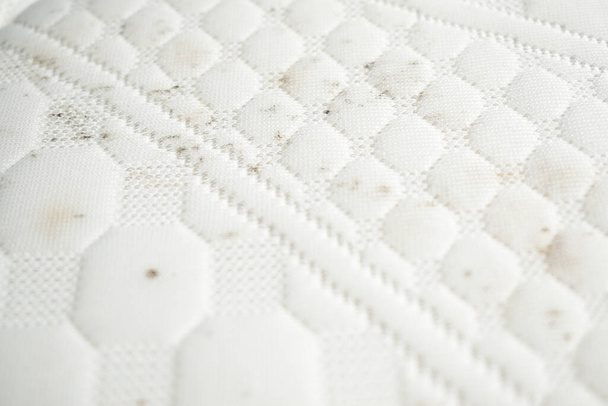 Mildew on a mattress. Mouldy stains on a white fabric. - Photo, Image