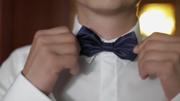 新郎は、蝶ネクタイを調整します。花嫁に行く準備をする。ビジネスマンだ。結婚式日 - 映像、動画
