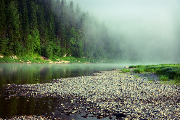 Nebbia su un fiume
 - Foto, immagini