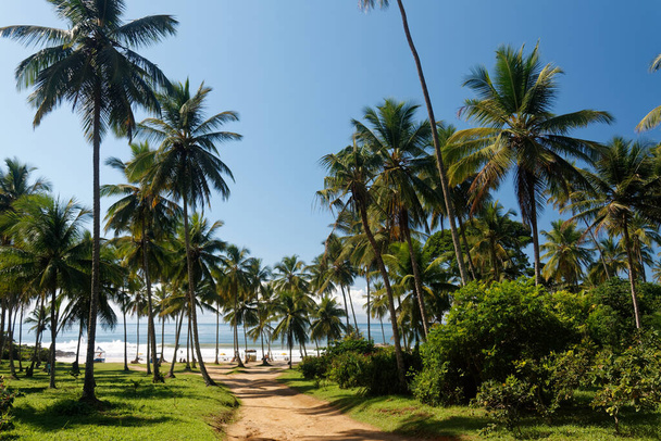 Secluded beaches in Brazil - Fotoğraf, Görsel
