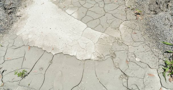 Nahaufnahme von rissigen Boden und schlammig in der Trockenzeit Texturen, heißer Sommer. Muster und Textur rissigen Boden der sonnigen trockenen Erde, Trockenheit des Bodens. Getrocknete rissige Erde Boden Hintergrund - Foto, Bild