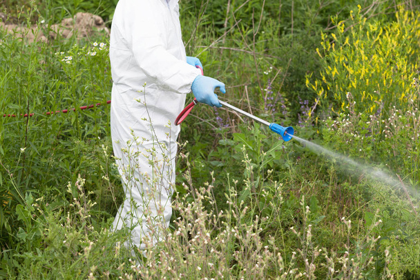 Worker in protective workwear spraying herbicide on ragweed. Hay fever concept. - Zdjęcie, obraz