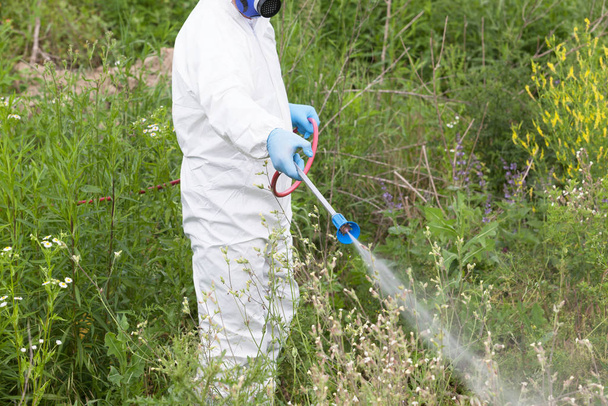 Worker in protective workwear spraying herbicide on ragweed. Hay fever concept. - Fotó, kép