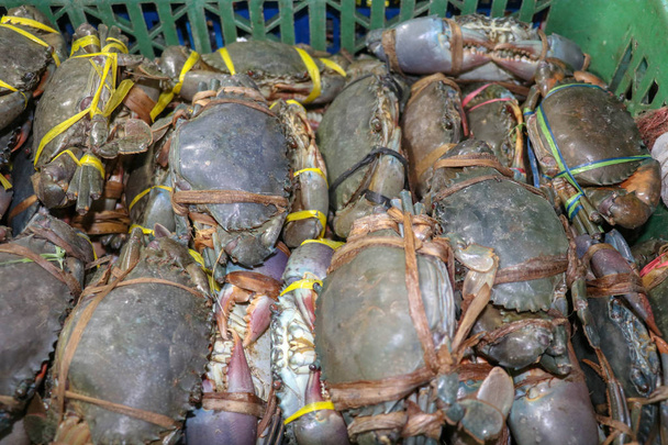 Modèle de crabes frais vendus sur un comptoir de fruits de mer à Jimbaran. Pasar Ikan Kedonganan - plage de Bali. Crabes frais sur le marché aux poissons local. Lot de crabes frais en support plastique à vendre
. - Photo, image