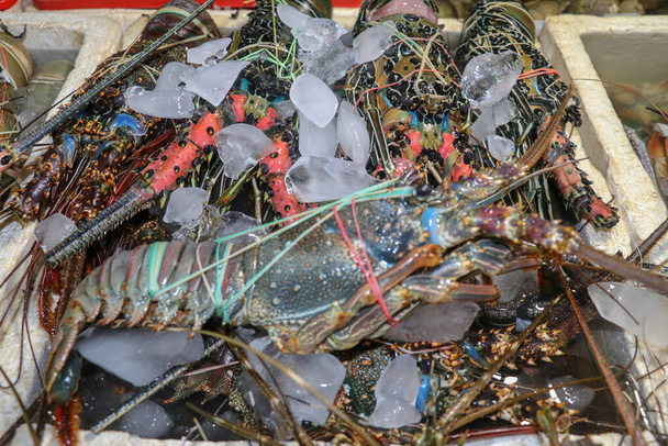 Tuoreita mereneläviä myytävänä Pasar Ikan Kedonganan Jimbaran, Bali, Indonesia. Tuoreita hummereita myymässä kalaa Kedongananananassa. Tuoreet hummerit jäällä myytävänä äyriäistiskillä
. - Valokuva, kuva