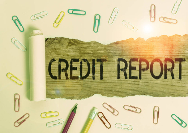 Konzeptionelle Handschrift, die Credit Report zeigt. Geschäftsfotos, die ihn zeigen, sind der detaillierte Bericht über eine individuelle Kredithistorie. - Foto, Bild