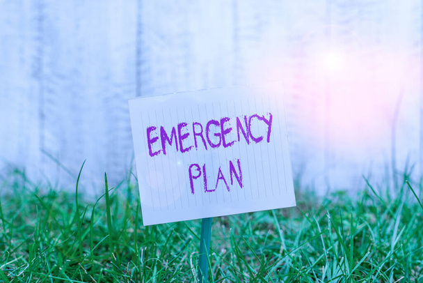 Text sign showing Emergency Plan. Conceptual photo course of action to mitigate the damage of potential events Plain empty paper attached to a stick and placed in the green grassy land. - Foto, afbeelding