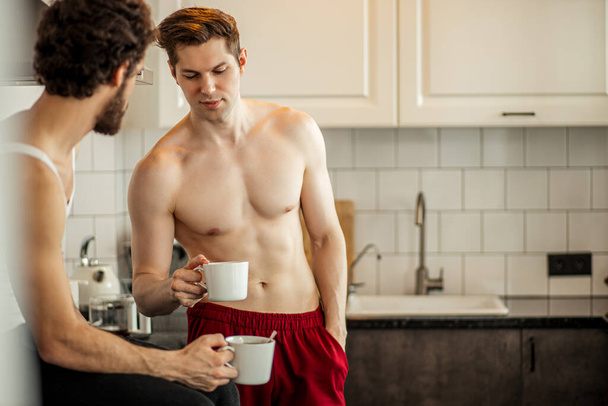 two young gays in kitchen at home - 写真・画像