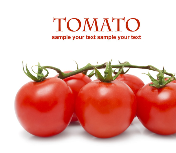 Tomatoes - Photo, image