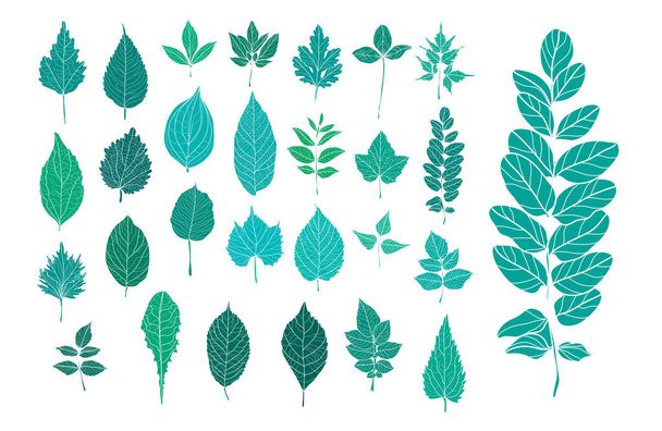 Decorative  hand drawn leaves set, design elements. Can be used for cards, invitations, banners, posters, print design. Floral background in line art style - Vector, Image