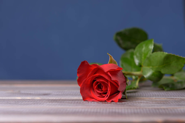 Κόκκινο τριαντάφυλλο σε ένα ξύλινο τραπέζι. - Φωτογραφία, εικόνα
