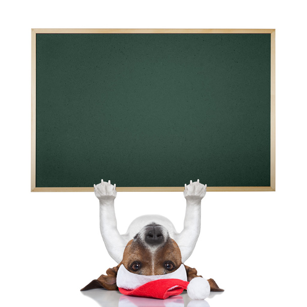 christmas dog banner, - Фото, изображение