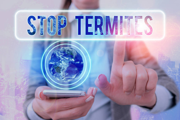 Käsiala tekstin kirjoittaminen Stop Termites. Käsitteen merkitys estää pientä trooppista hyönteistä vahingoittamasta metsää
. - Valokuva, kuva