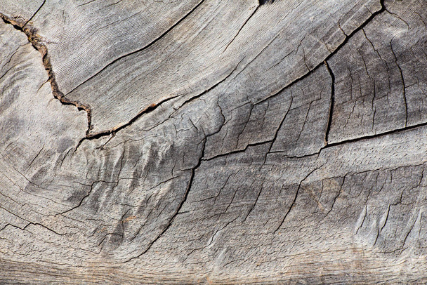 Old wood abstract background - Foto, Bild