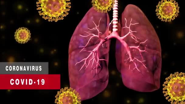 コロナウイルスCovid-19感染症の発生は肺を攻撃 - 映像、動画