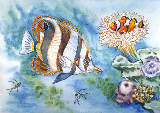 Inhabitants of the seabed: Butterfly fish, clown fish, sea anemone, etc., watercolor illustration. - Foto, immagini