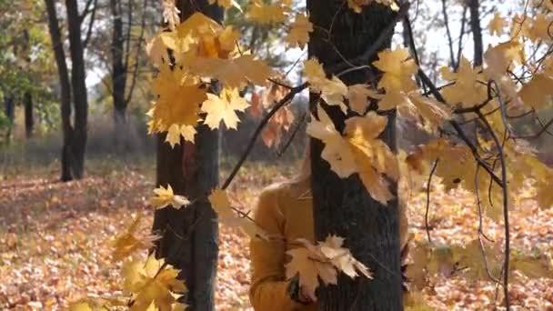 Chica adolescente rubia bonita escondida detrás del árbol de arce
 - Imágenes, Vídeo