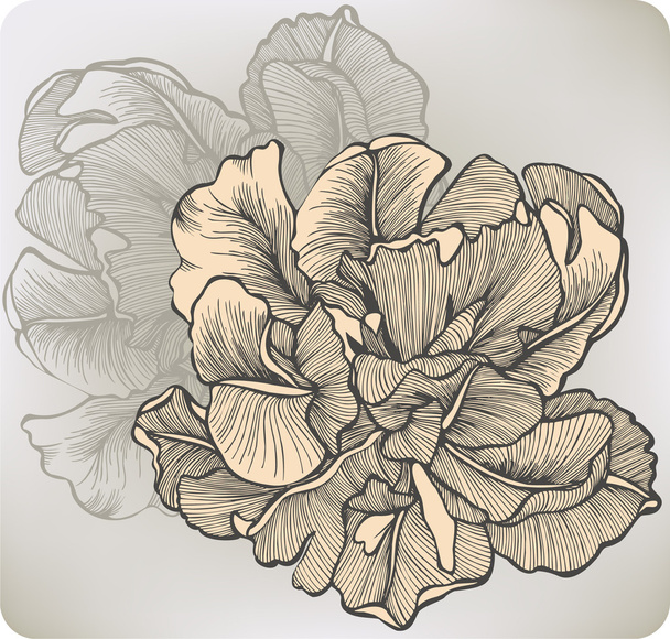 Flower blooming tulip, hand-drawing. Vector illustration. - Vector, Imagen