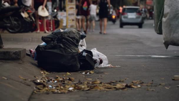 Pile of trash on the road - Felvétel, videó
