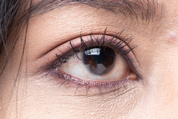 Detailní makro portrét ženského oka, lidské ženské otevřené hnědé oči s krásným stínem řasenky make-up. Mladý model použití módní make-up, studio osvětlení část těla - Fotografie, Obrázek