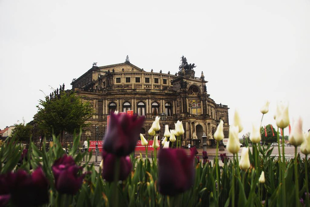 Semperoper à Dresde, Saxe encadrée par des fleurs en fleurs
 - Photo, image