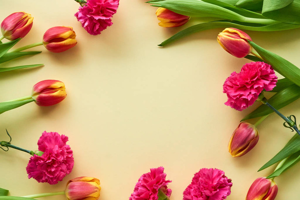 Tulips and carnations on a light background                                - Fotografie, Obrázek