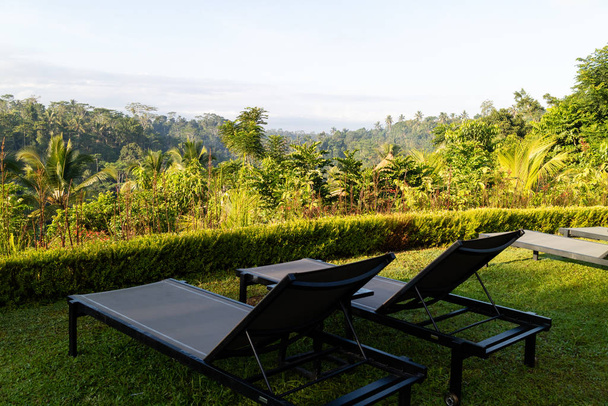 Krzesła pokładowe z pięknym widokiem na las tropikalny - Zdjęcie, obraz